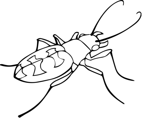 Tiger Beetle Coloring Page